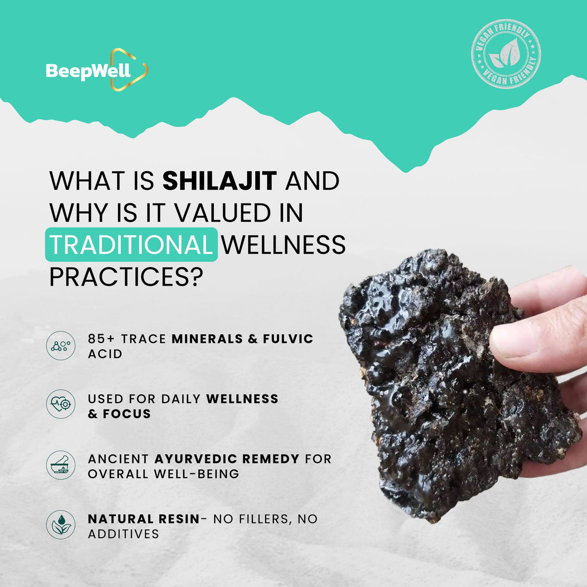 BeepWell Himalayan Shilajit Resin-1