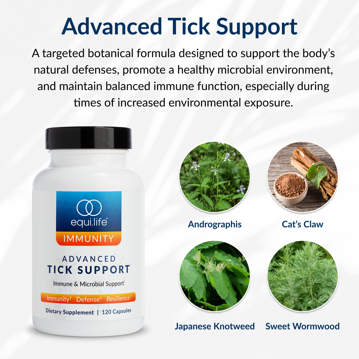 Advanced Tick Support