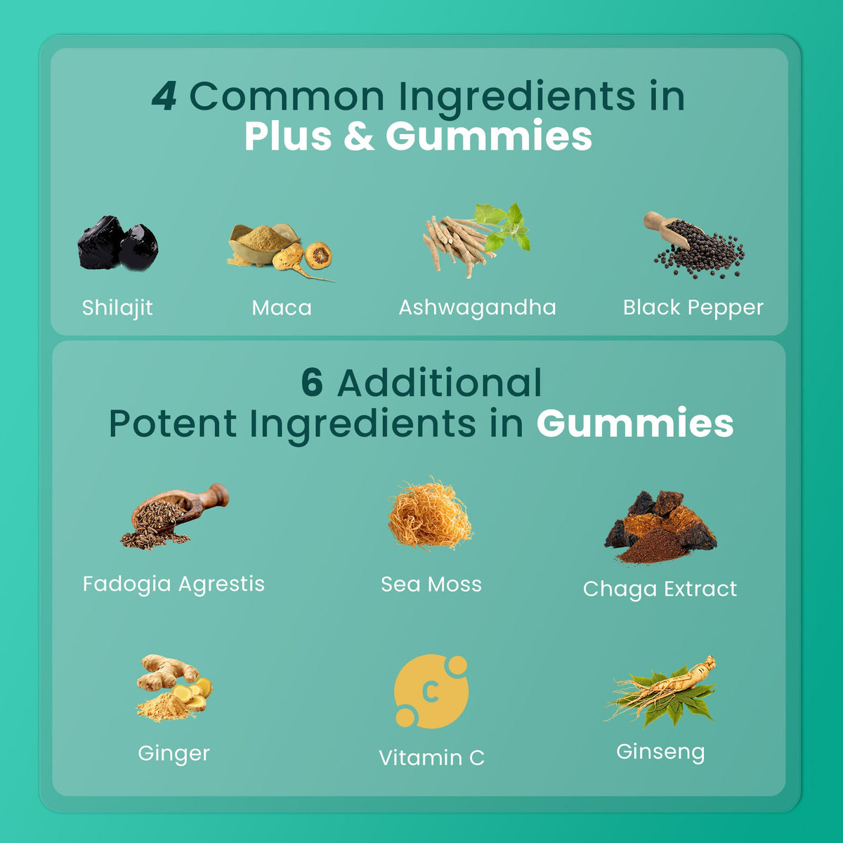 BeepWell Shilajit Resin Plus & Gummies Bundle-2