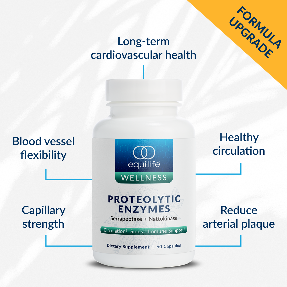 Proteolytic Enzymes