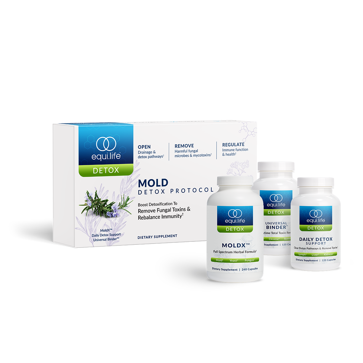 Mold Protocol
