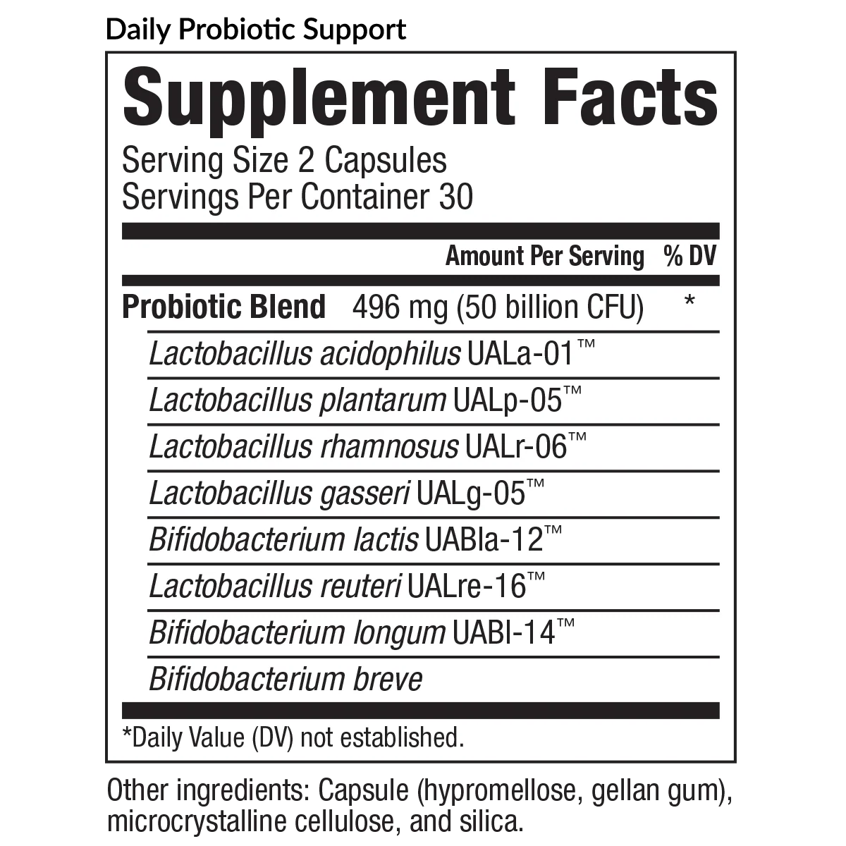 Daily Probiotic Support