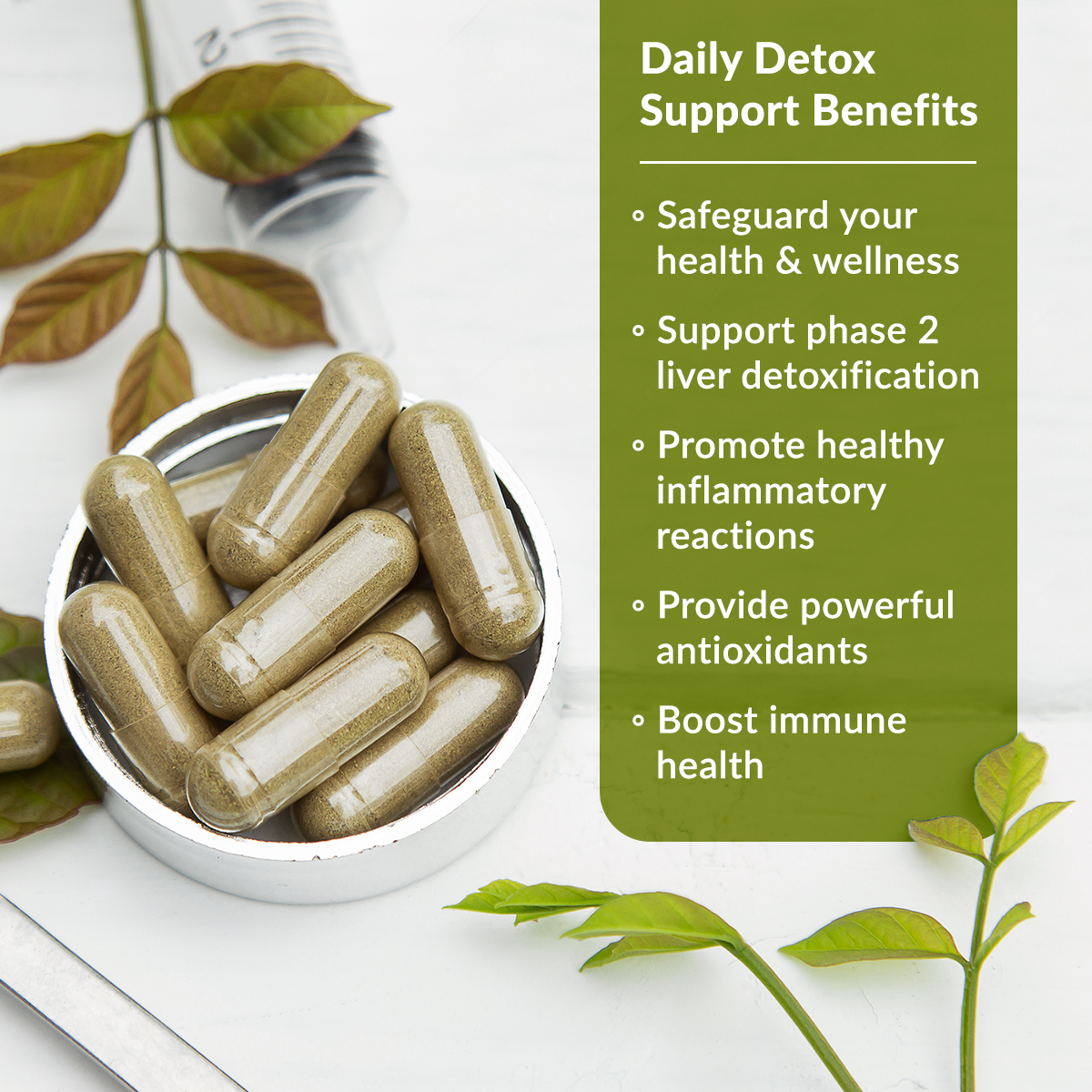 Daily Detox Support